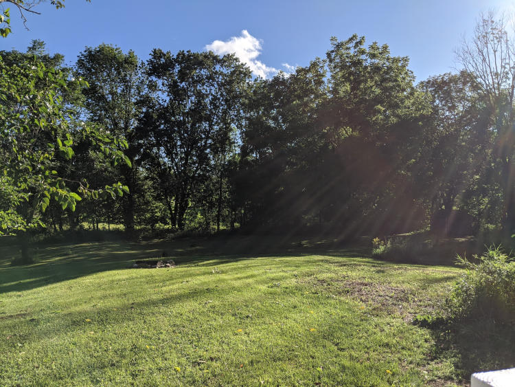 The view from the back porch.