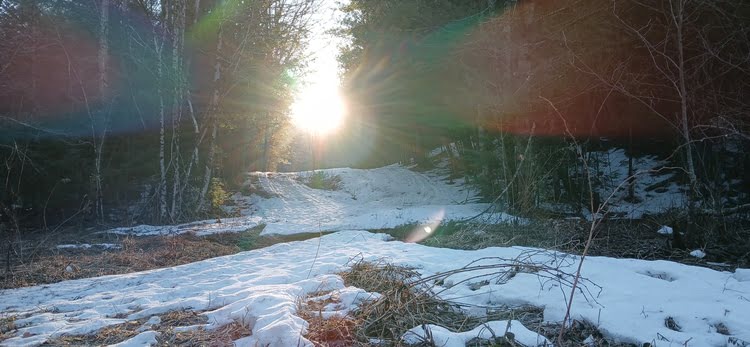 An image of the trail